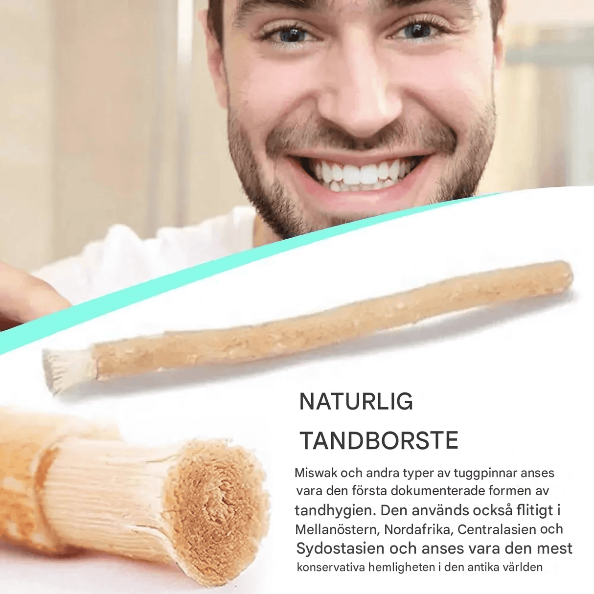 HerbaBrush – Luonnollinen Miswak-hammasharja perinteiseen suunhoitoon ja matkalle