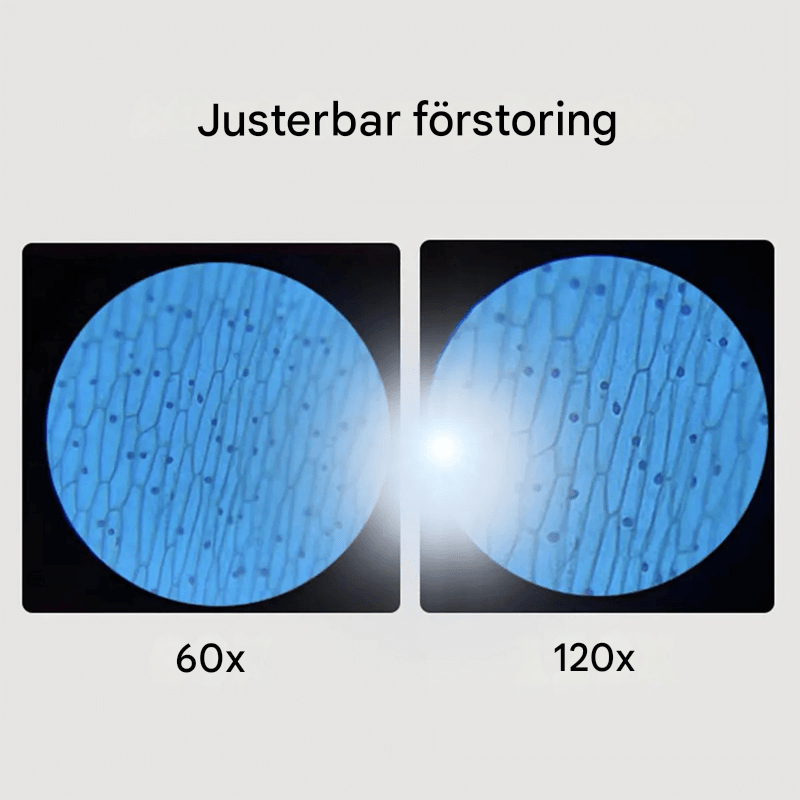 Kannettava lastenmikroskooppi Lelu – Suurennus 60X-120X, LED-valolla