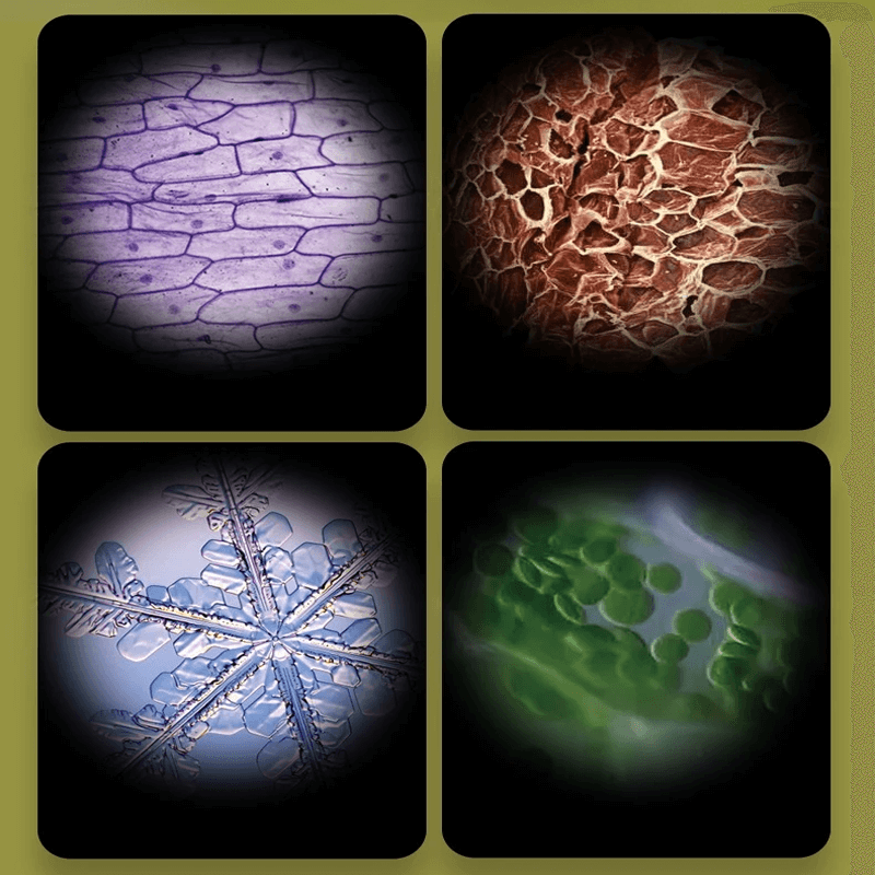 Kannettava lastenmikroskooppi Lelu – Suurennus 60X-120X, LED-valolla