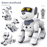Älykäs robottikoira lapsille – elektroninen, tanssiva ja ohjelmoitava lelu