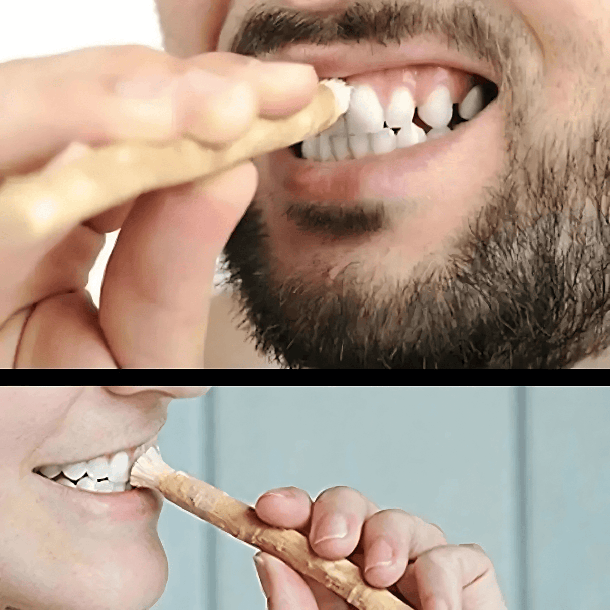 HerbaBrush – Luonnollinen Miswak-hammasharja perinteiseen suunhoitoon ja matkalle