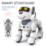 Älykäs robottikoira lapsille – elektroninen, tanssiva ja ohjelmoitava lelu