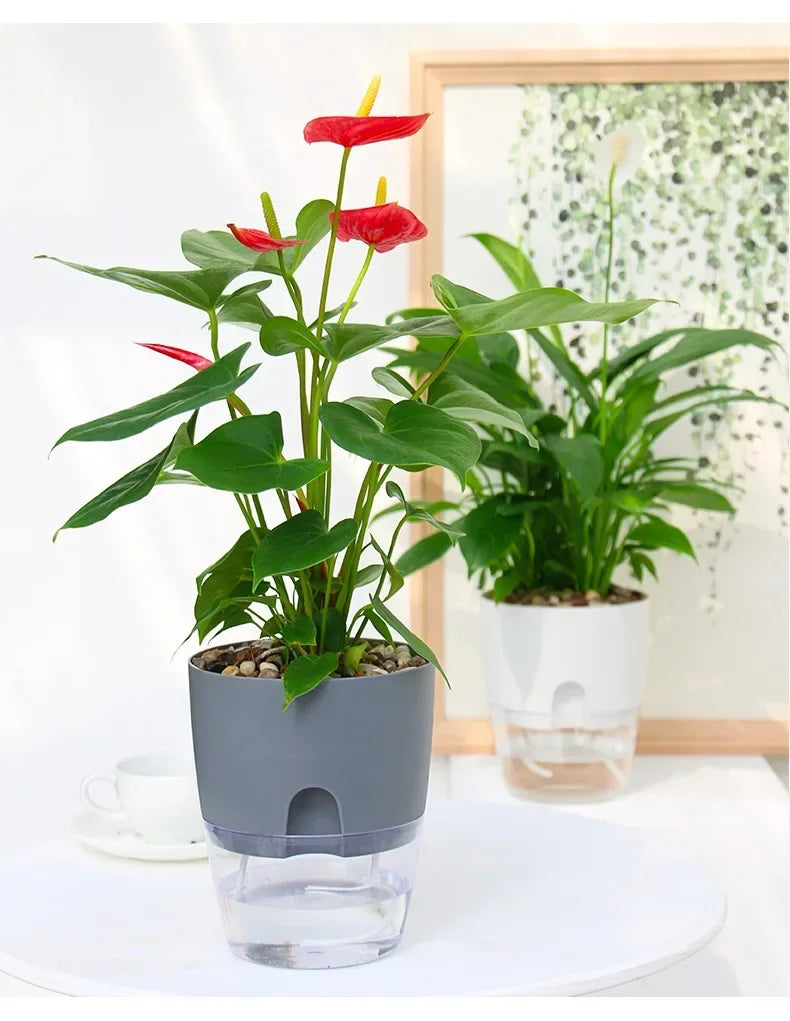 AquaBloom - Itsekasteleva ruukku kaksoiskerroksella | Tee kasvien hoidosta helpompaa kuin koskaan aiemmin