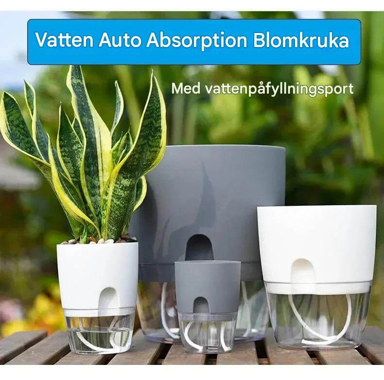 AquaBloom - Itsekasteleva ruukku kaksoiskerroksella | Tee kasvien hoidosta helpompaa kuin koskaan aiemmin